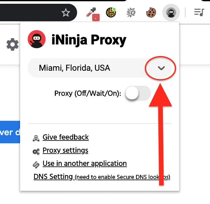 Proxy Vpn ininja