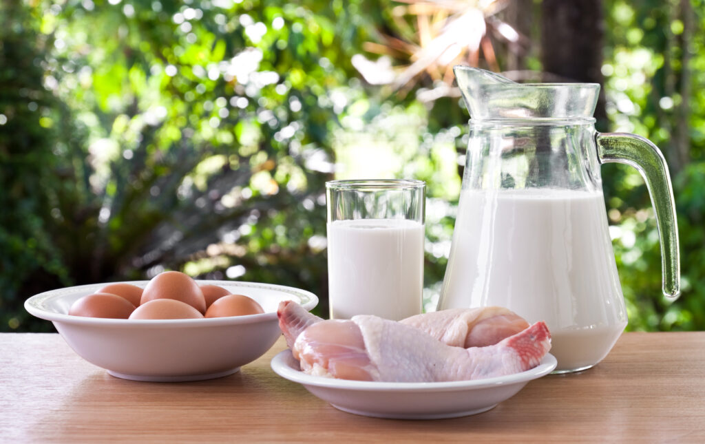 Os Benefícios das Proteínas O que são proteinas? Variedades