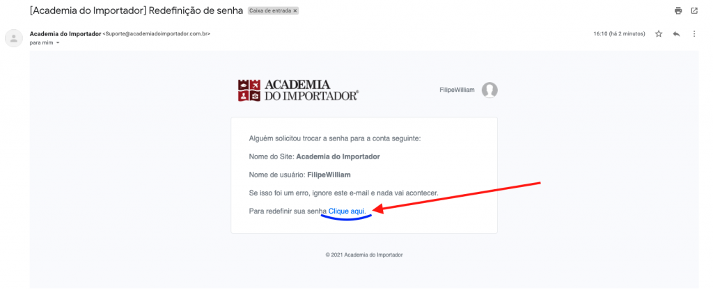 Email de recuperação de login da Academia do Importador enviado