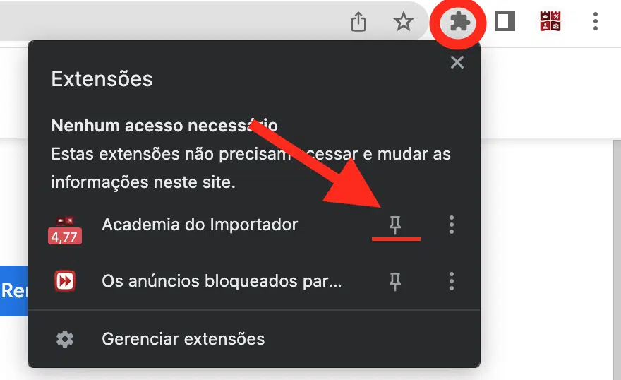 Fixar extensão